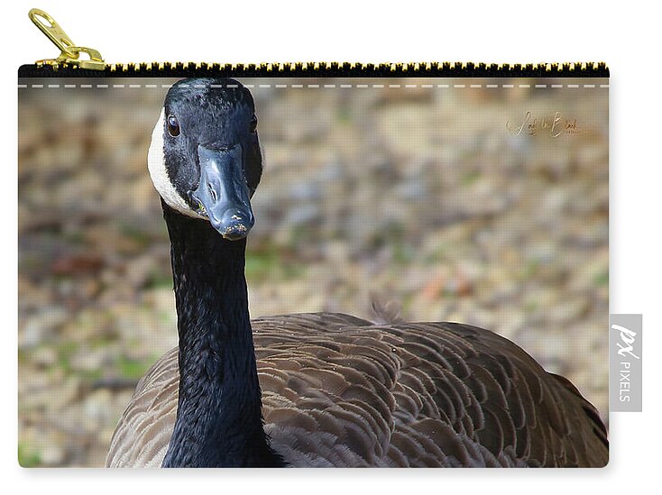 Lake Rim Goose - Zip Pouch