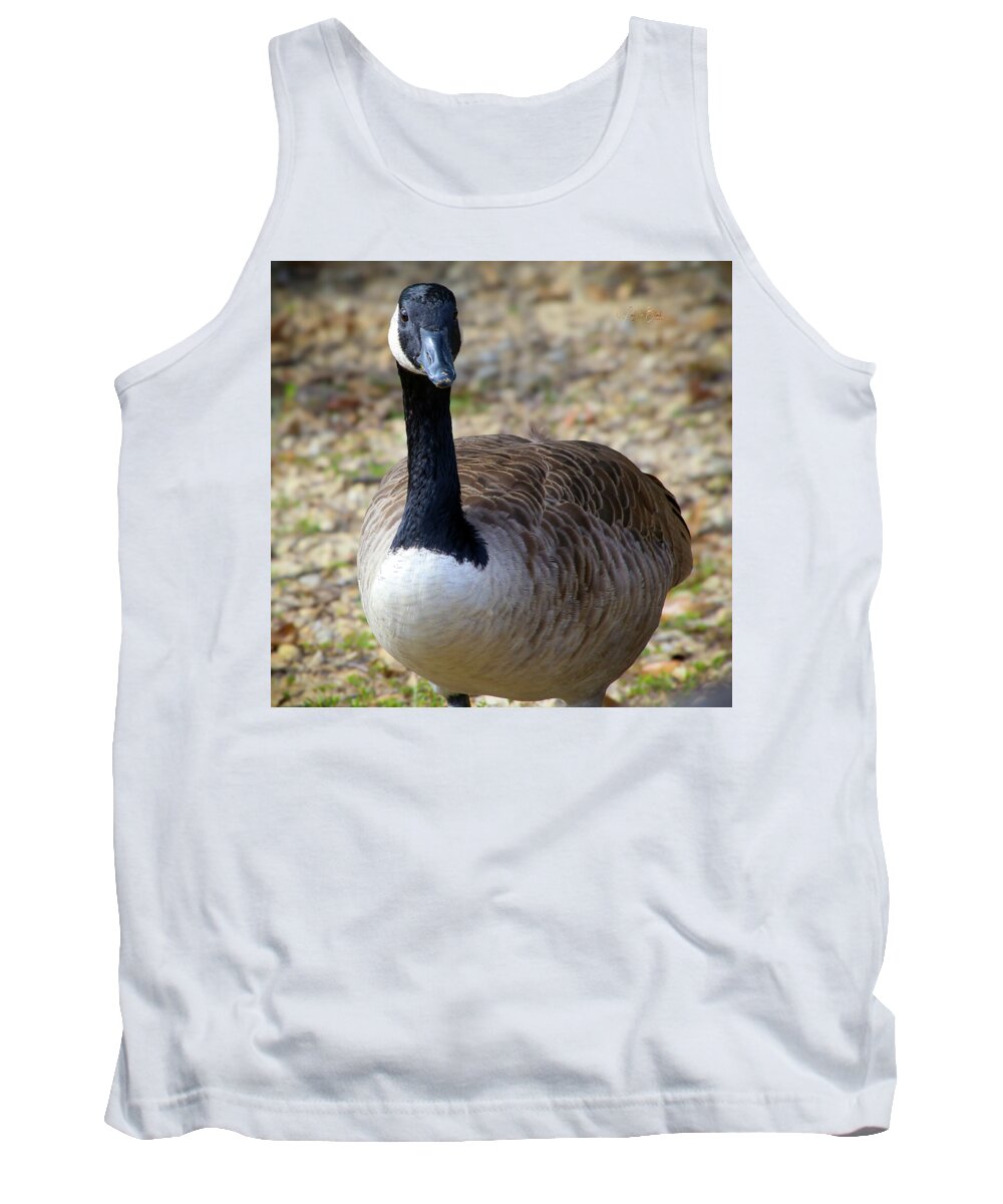 Lake Rim Goose - Tank Top