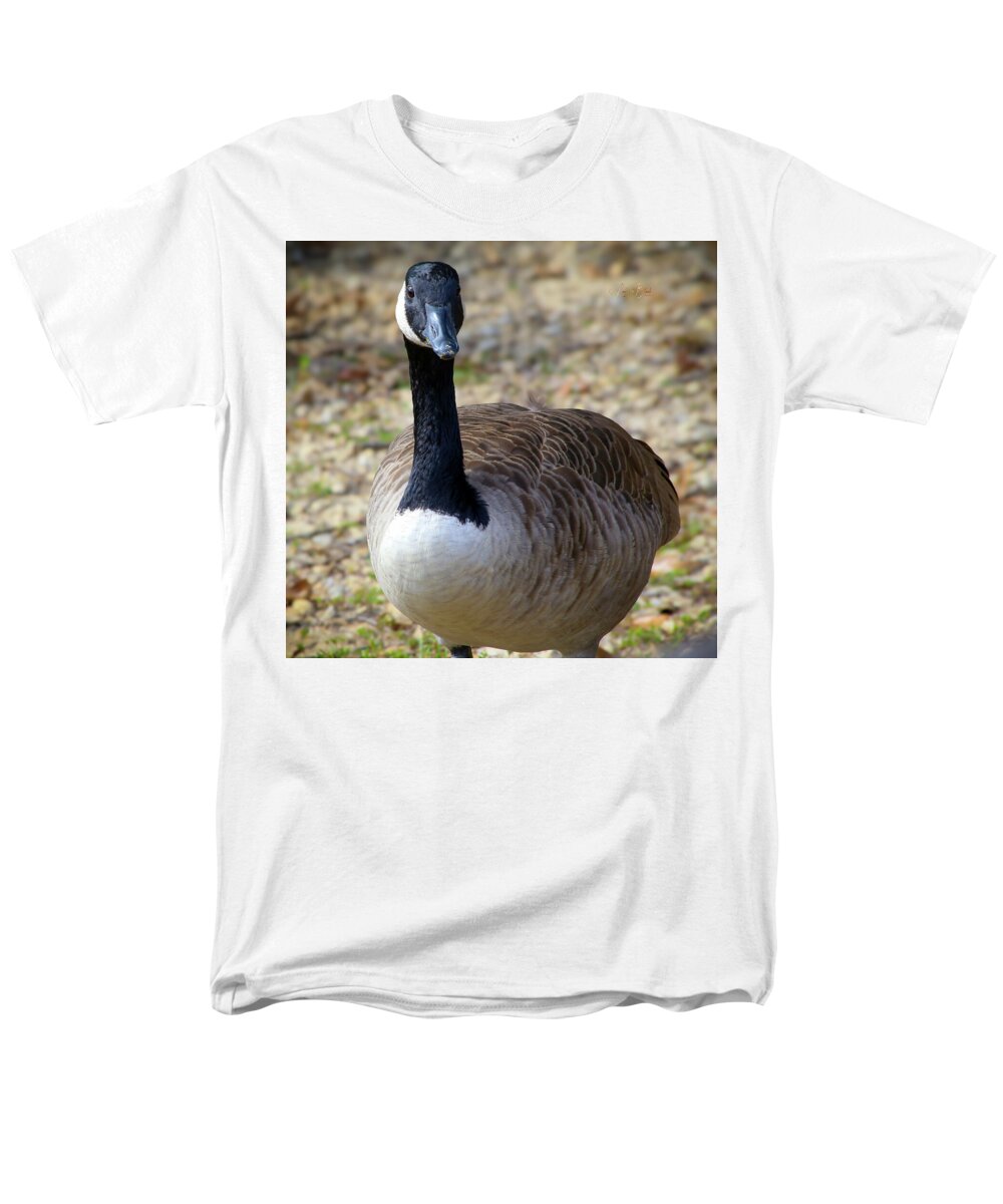 Lake Rim Goose - Men's T-Shirt  (Regular Fit)