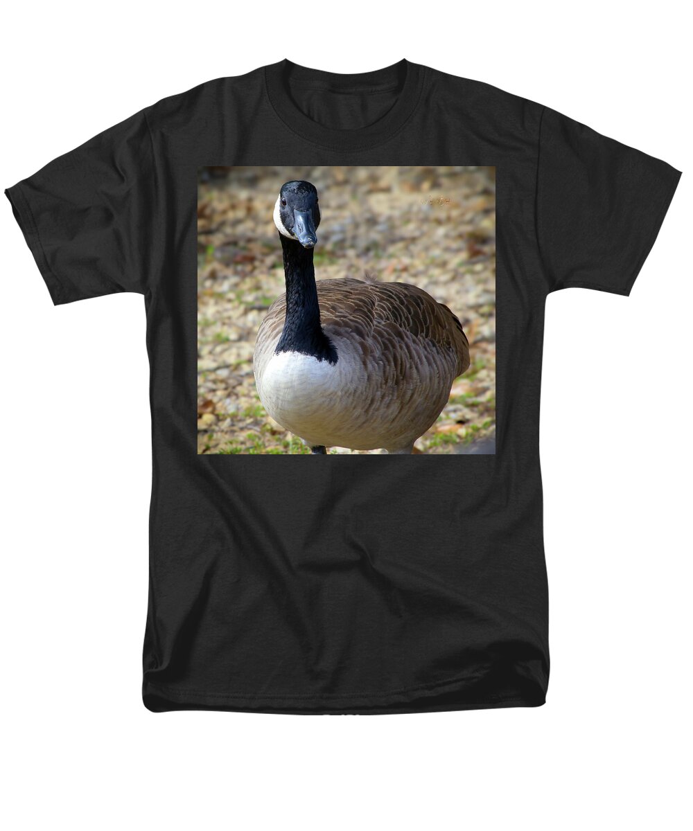 Lake Rim Goose - Men's T-Shirt  (Regular Fit)