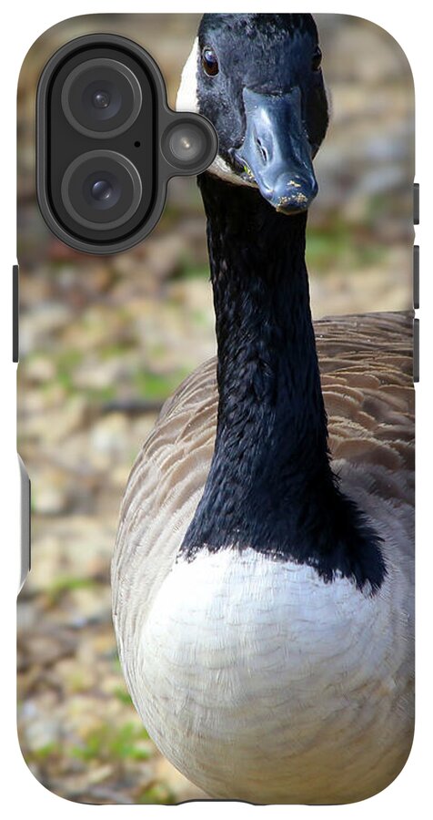 Lake Rim Goose - Phone Case