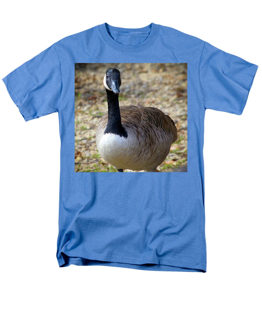 Lake Rim Goose - Men's T-Shirt  (Regular Fit)