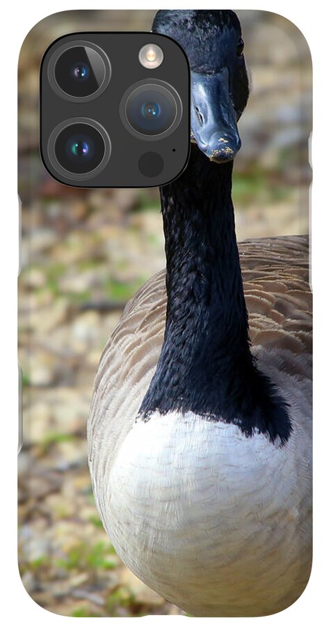 Lake Rim Goose - Phone Case