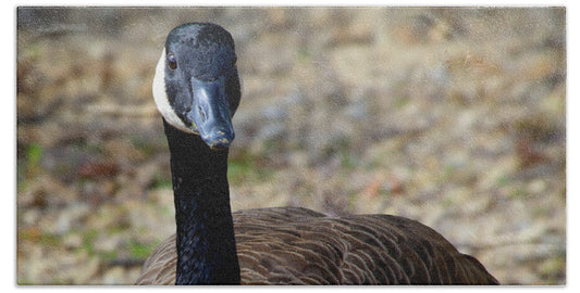 Lake Rim Goose - Bath Towel