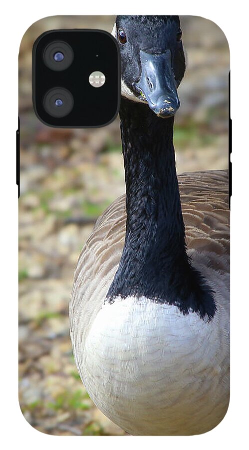 Lake Rim Goose - Phone Case