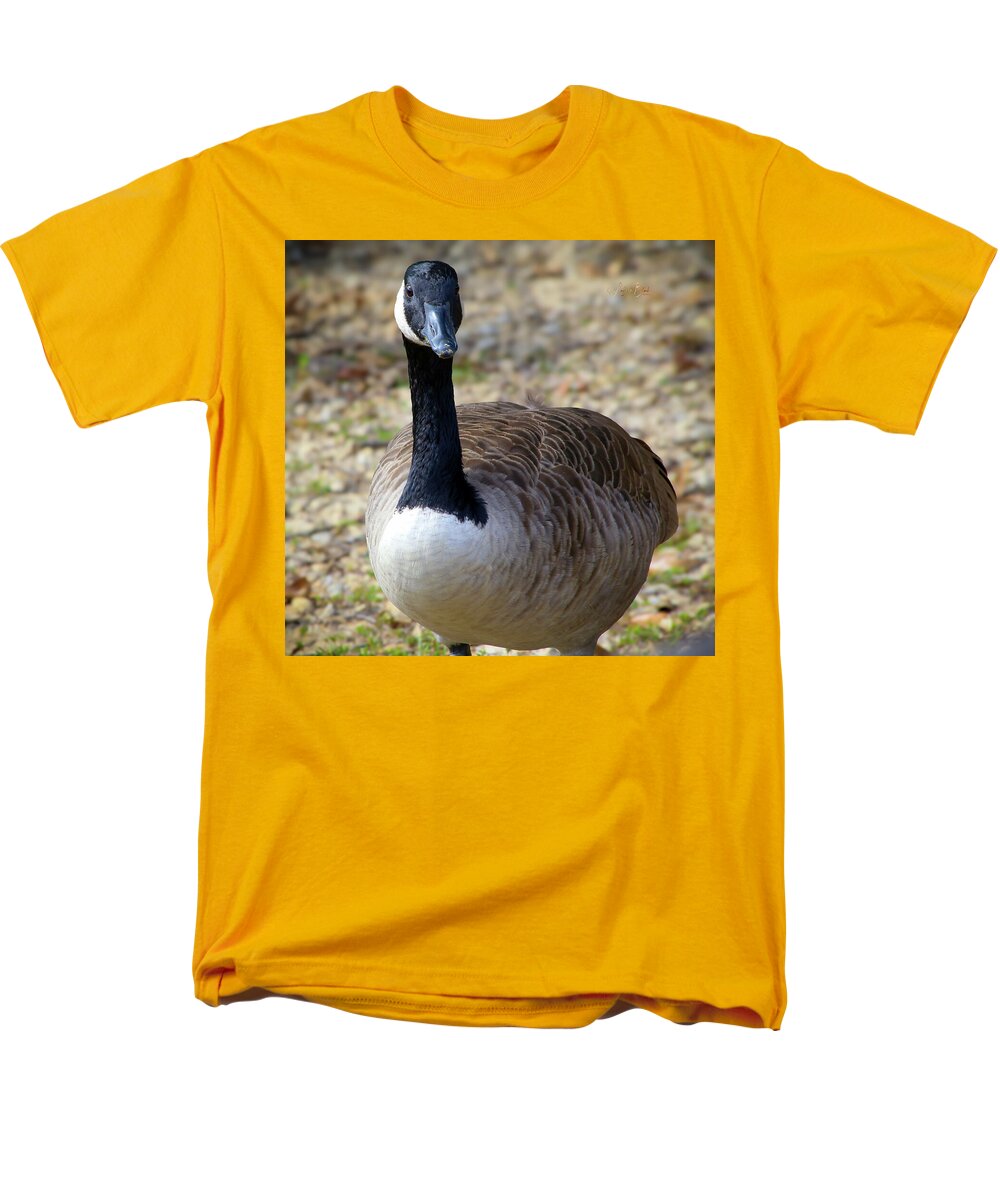 Lake Rim Goose - Men's T-Shirt  (Regular Fit)