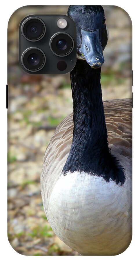 Lake Rim Goose - Phone Case