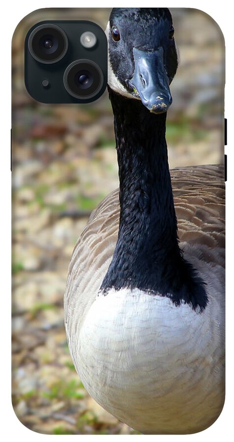 Lake Rim Goose - Phone Case
