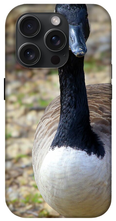Lake Rim Goose - Phone Case