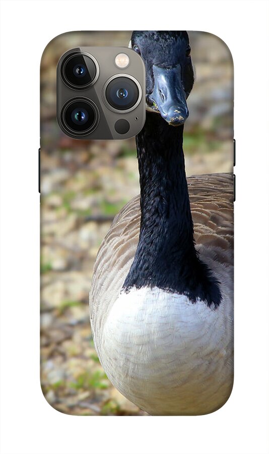 Lake Rim Goose - Phone Case