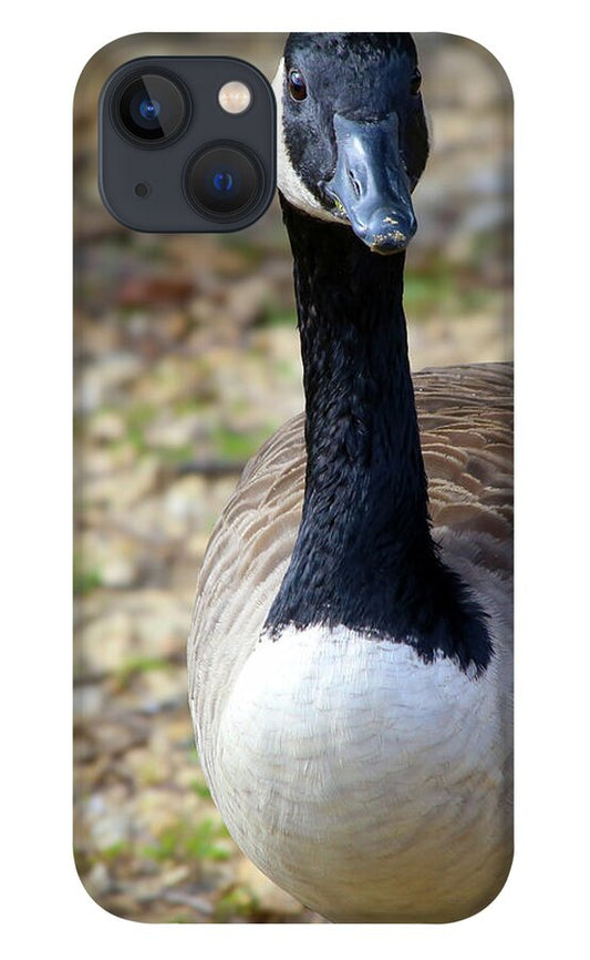 Lake Rim Goose - Phone Case