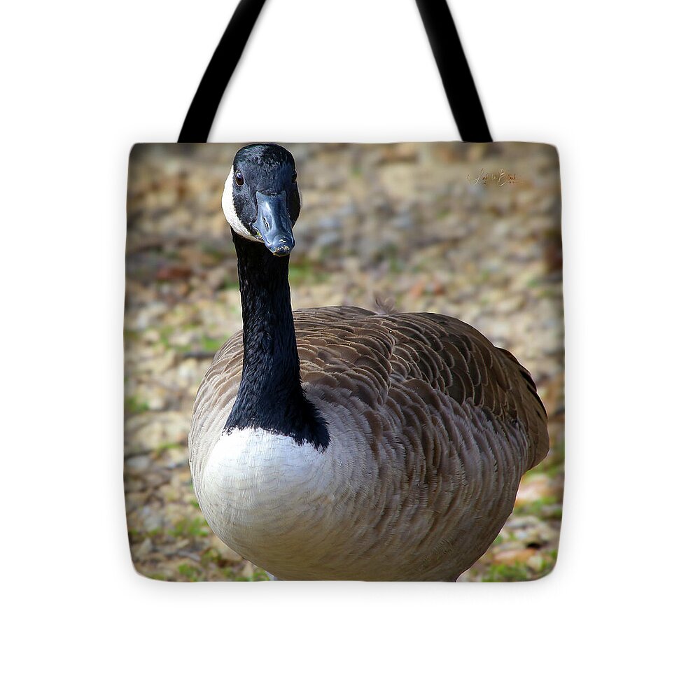 Lake Rim Goose - Tote Bag