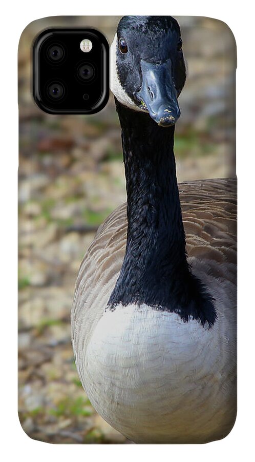 Lake Rim Goose - Phone Case