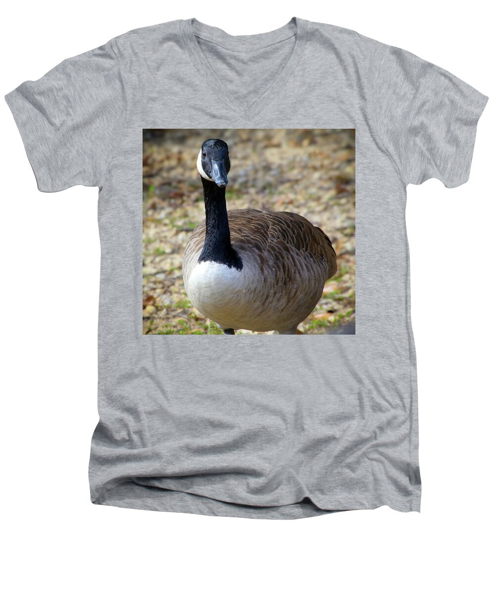 Lake Rim Goose - Men's V-Neck T-Shirt