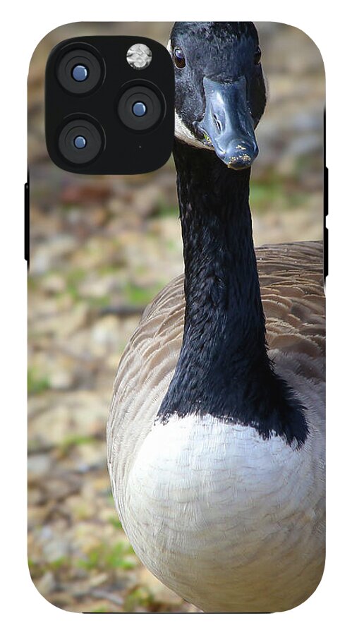 Lake Rim Goose - Phone Case