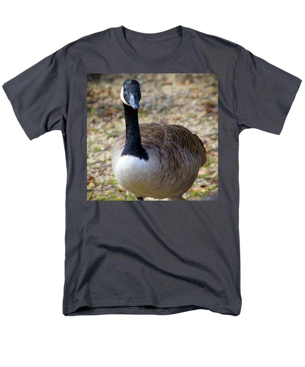 Lake Rim Goose - Men's T-Shirt  (Regular Fit)