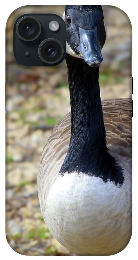 Lake Rim Goose - Phone Case