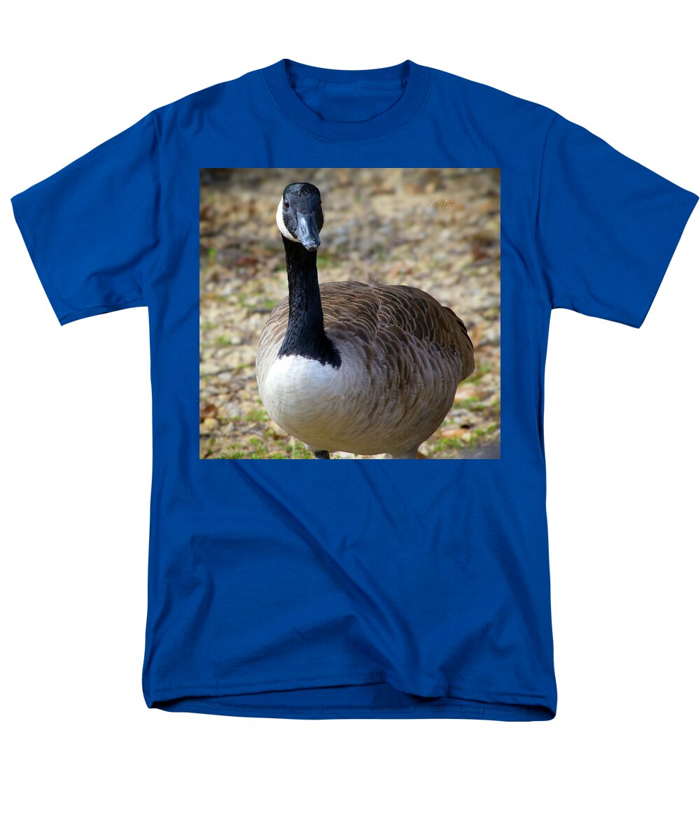 Lake Rim Goose - Men's T-Shirt  (Regular Fit)