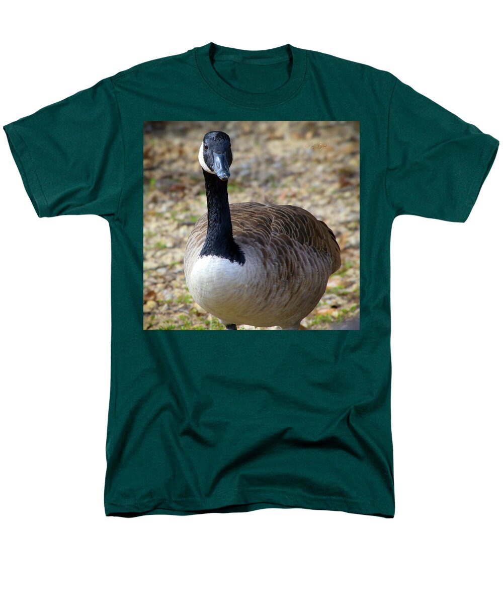 Lake Rim Goose - Men's T-Shirt  (Regular Fit)