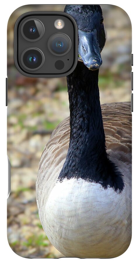 Lake Rim Goose - Phone Case