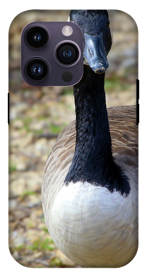 Lake Rim Goose - Phone Case