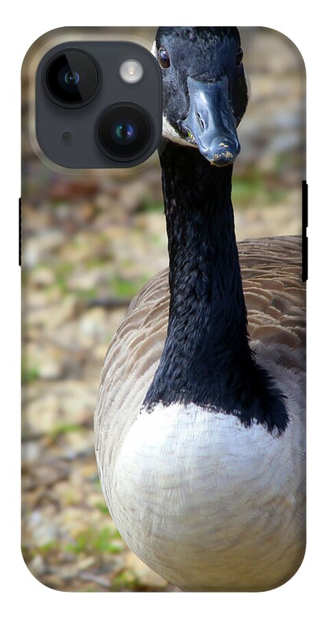 Lake Rim Goose - Phone Case
