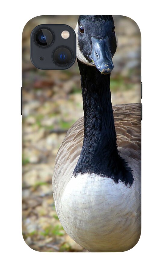 Lake Rim Goose - Phone Case