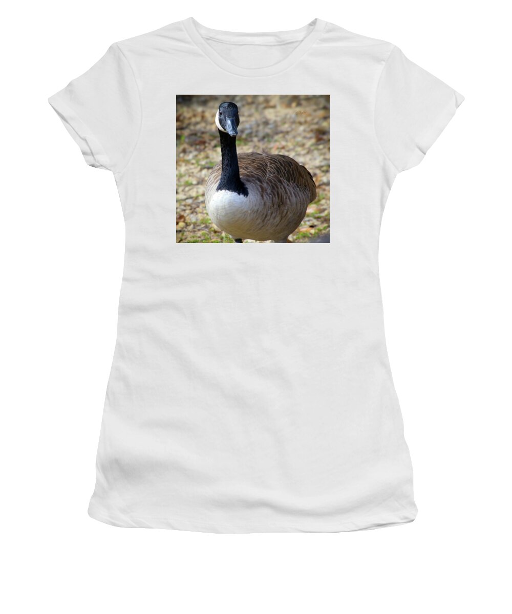 Lake Rim Goose - Women's T-Shirt