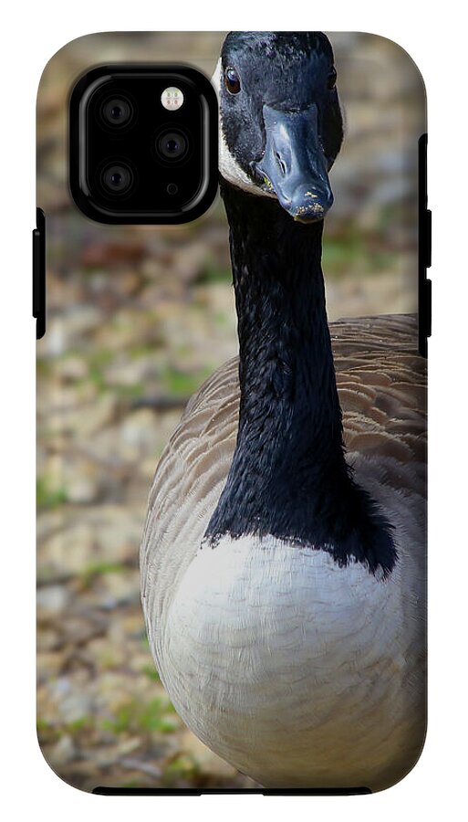 Lake Rim Goose - Phone Case