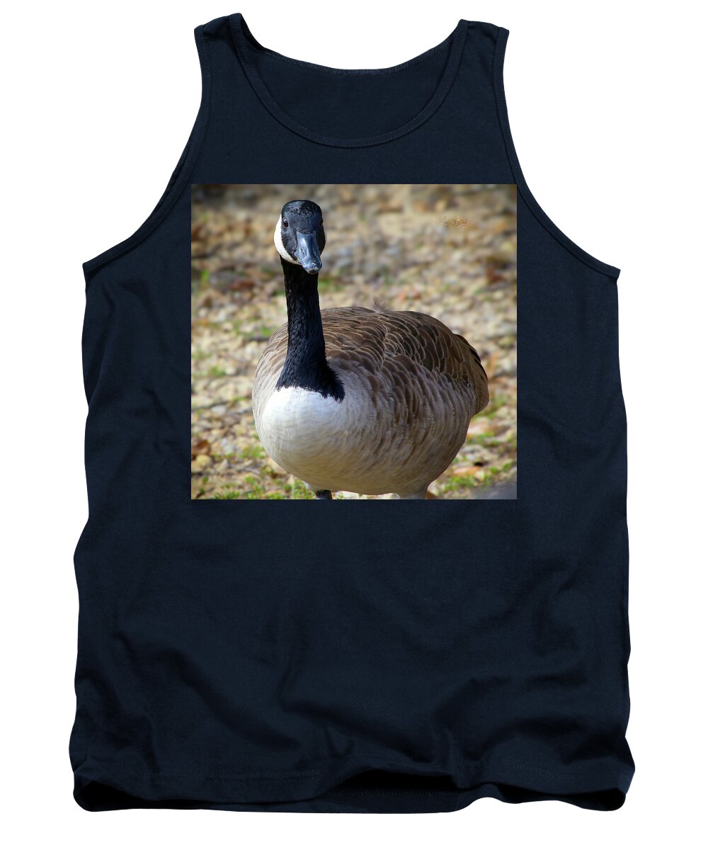 Lake Rim Goose - Tank Top