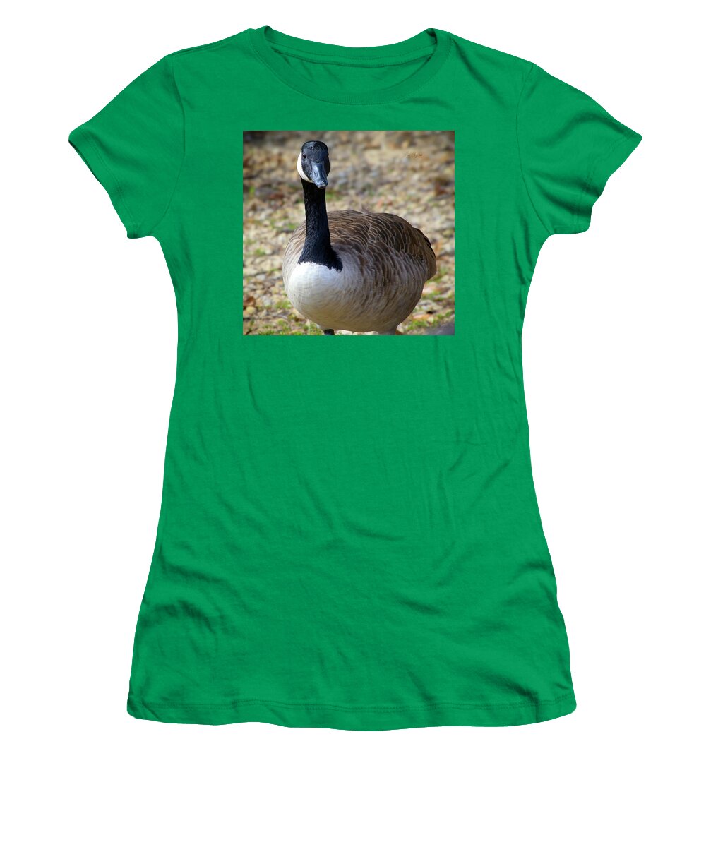 Lake Rim Goose - Women's T-Shirt