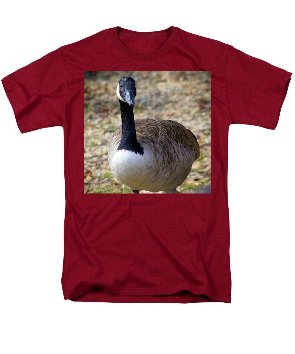 Lake Rim Goose - Men's T-Shirt  (Regular Fit)