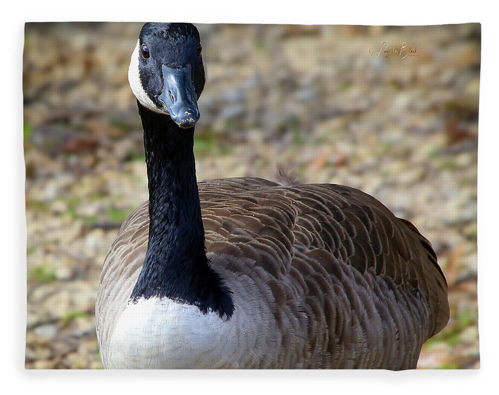 Lake Rim Goose - Blanket
