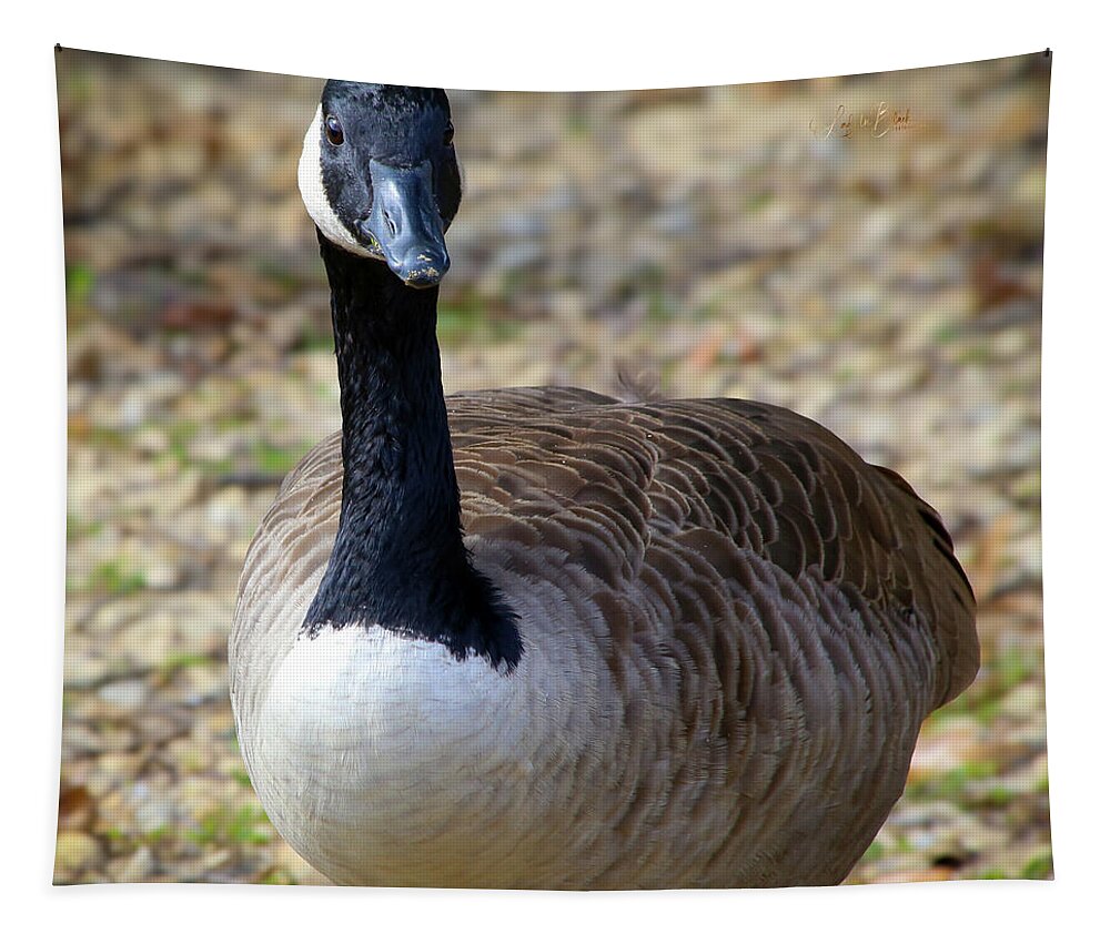 Lake Rim Goose - Tapestry