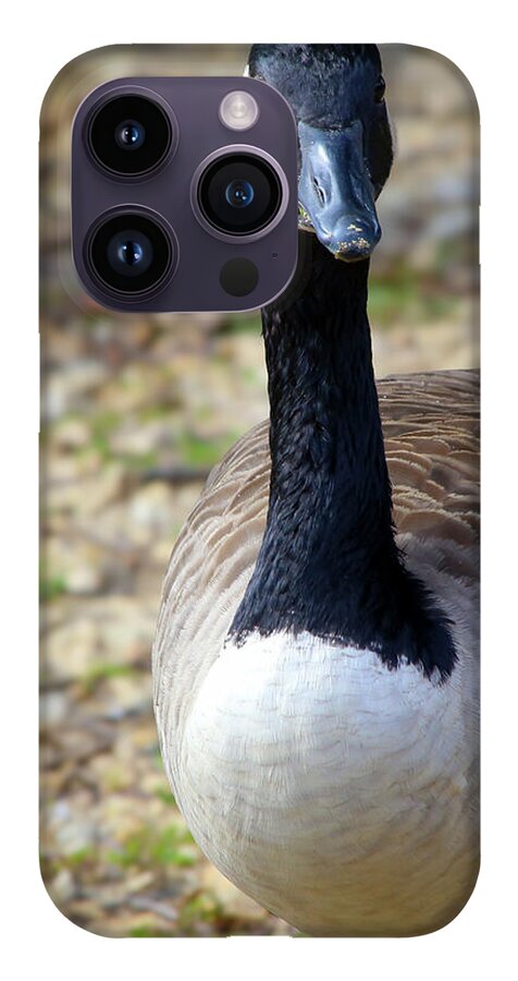 Lake Rim Goose - Phone Case