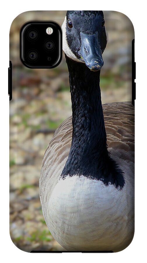 Lake Rim Goose - Phone Case