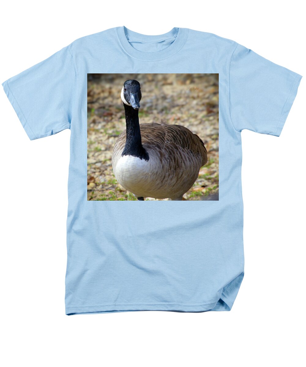 Lake Rim Goose - Men's T-Shirt  (Regular Fit)