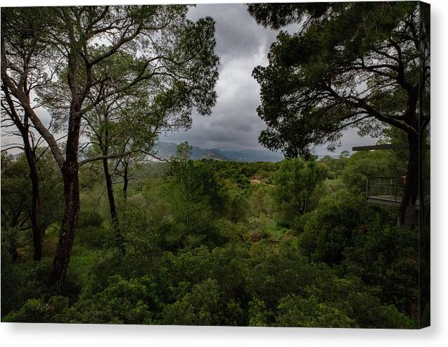 Hillside View from Spain Castle Gardens - Canvas Print