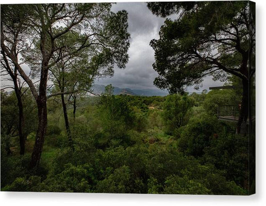 Hillside View from Spain Castle Gardens - Canvas Print