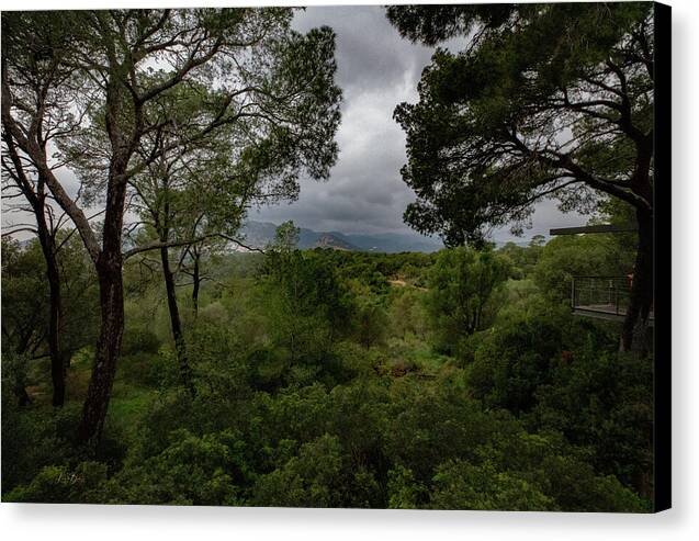 Hillside View from Spain Castle Gardens - Canvas Print