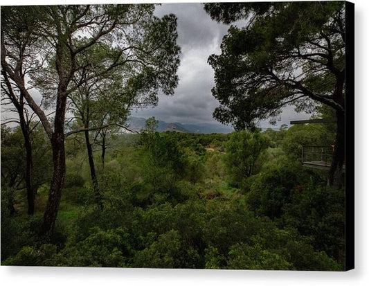 Hillside View from Spain Castle Gardens - Canvas Print