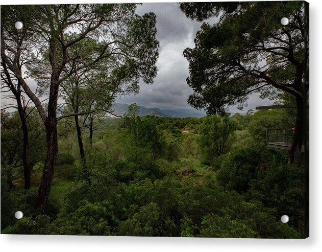 Hillside View from Spain Castle Gardens - Acrylic Print