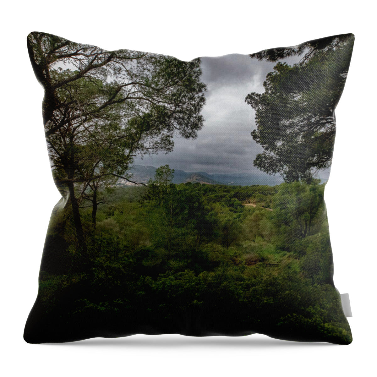 Hillside View from Spain Castle Gardens - Throw Pillow