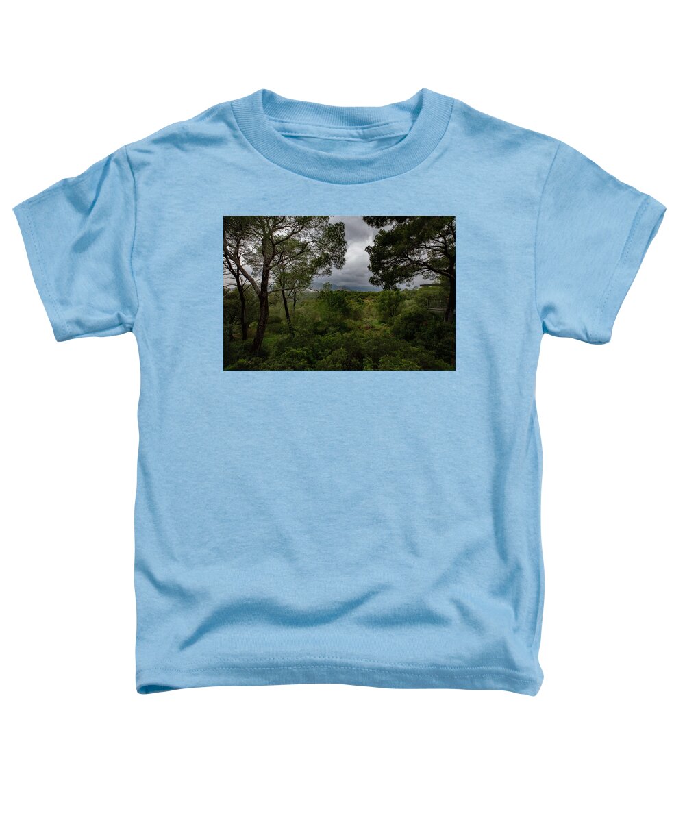 Hillside View from Spain Castle Gardens - Toddler T-Shirt