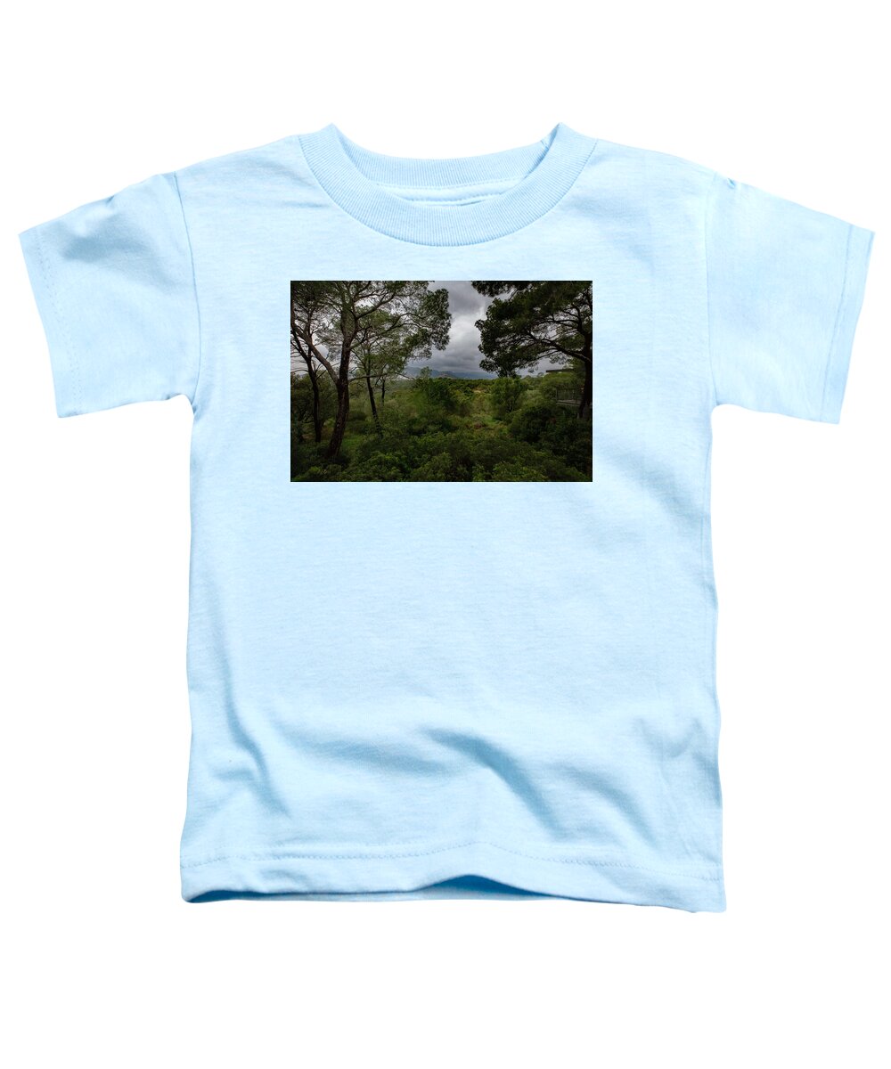 Hillside View from Spain Castle Gardens - Toddler T-Shirt
