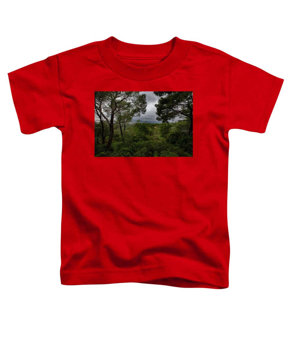 Hillside View from Spain Castle Gardens - Toddler T-Shirt