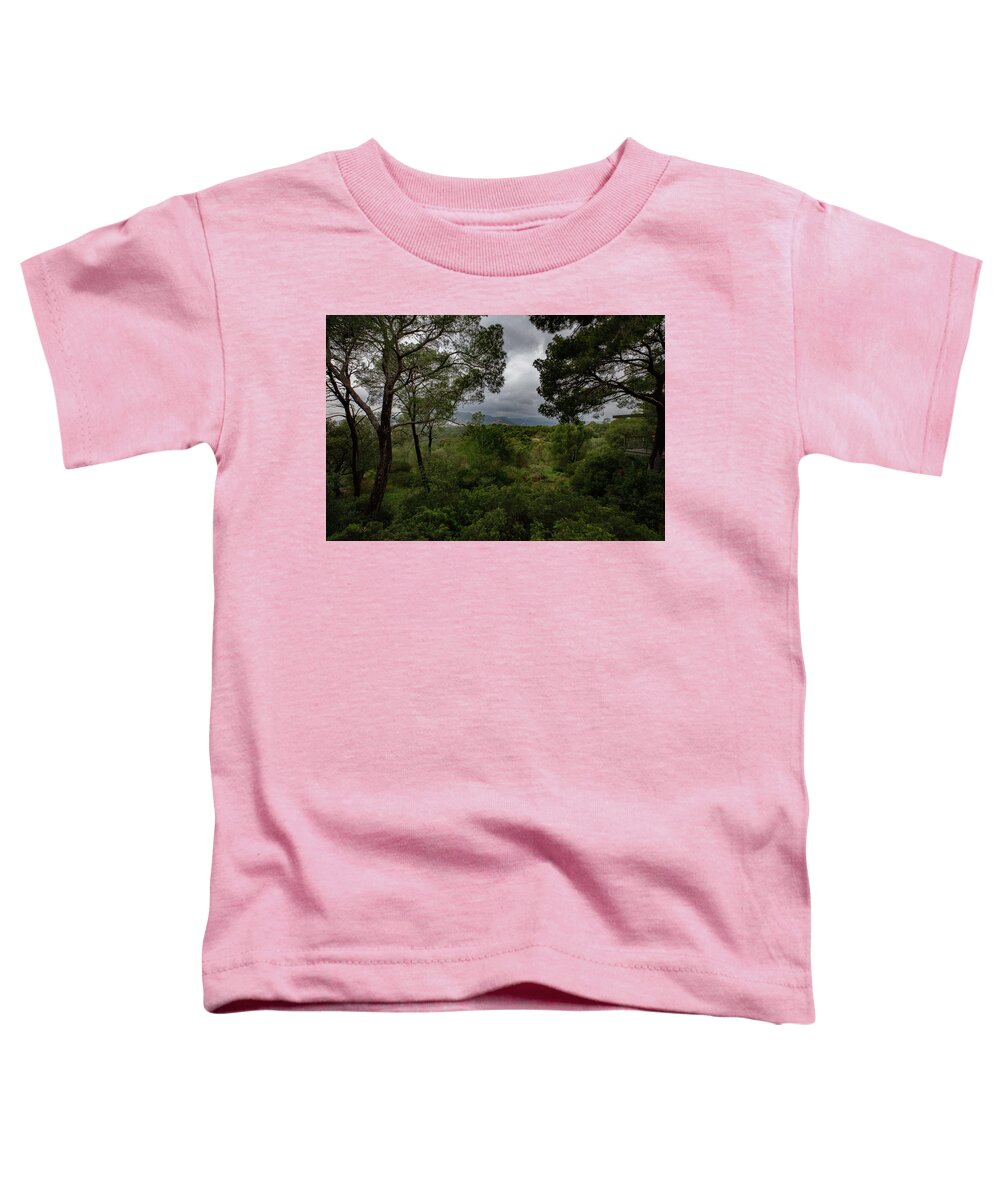 Hillside View from Spain Castle Gardens - Toddler T-Shirt