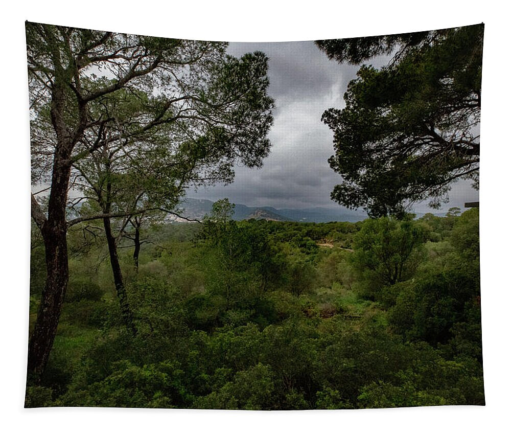 Hillside View from Spain Castle Gardens - Tapestry