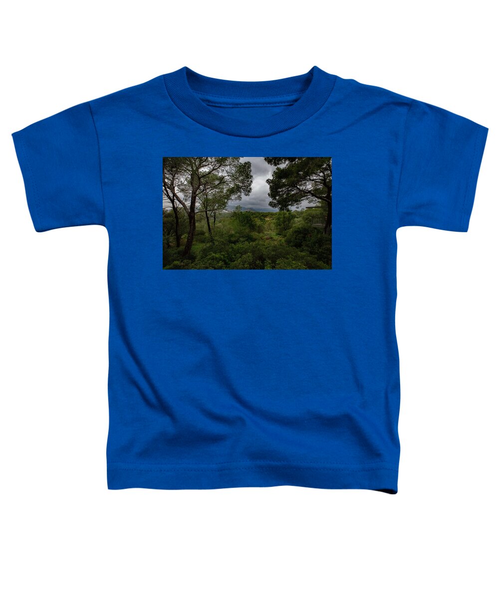 Hillside View from Spain Castle Gardens - Toddler T-Shirt