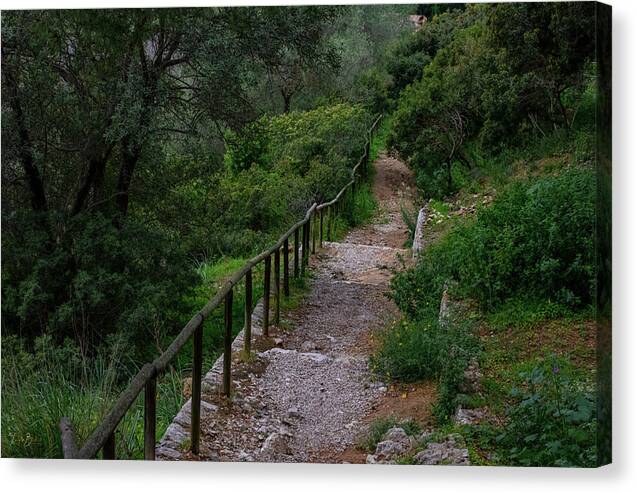Hillside View from Spain Castle Gardens III - Canvas Print